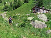 Pizzo dei Tre Signori (2554 m) dalla Val d’Inferno fiorita-24lu24 - fotogallery